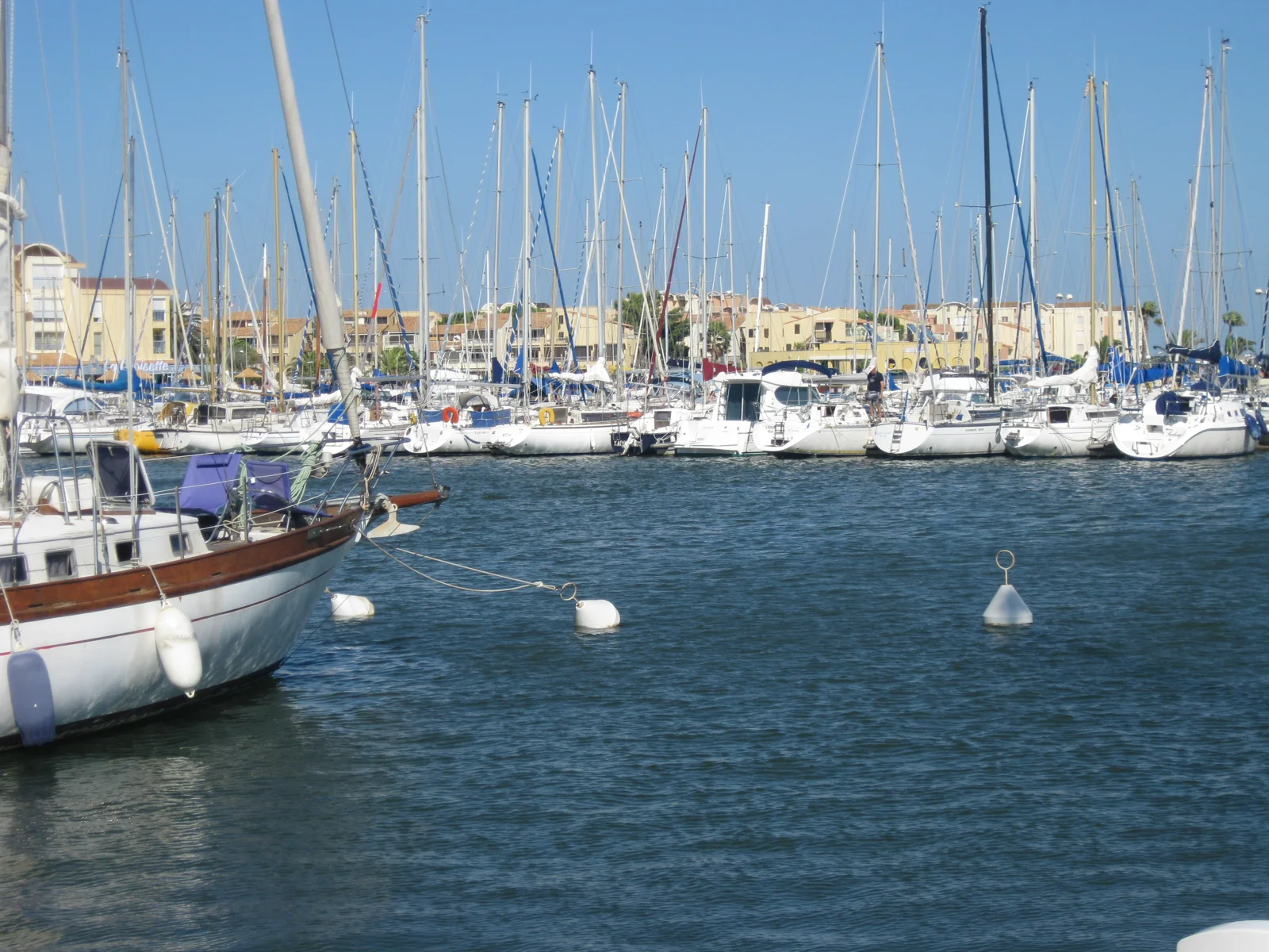 Golfe du Lion — photo 1