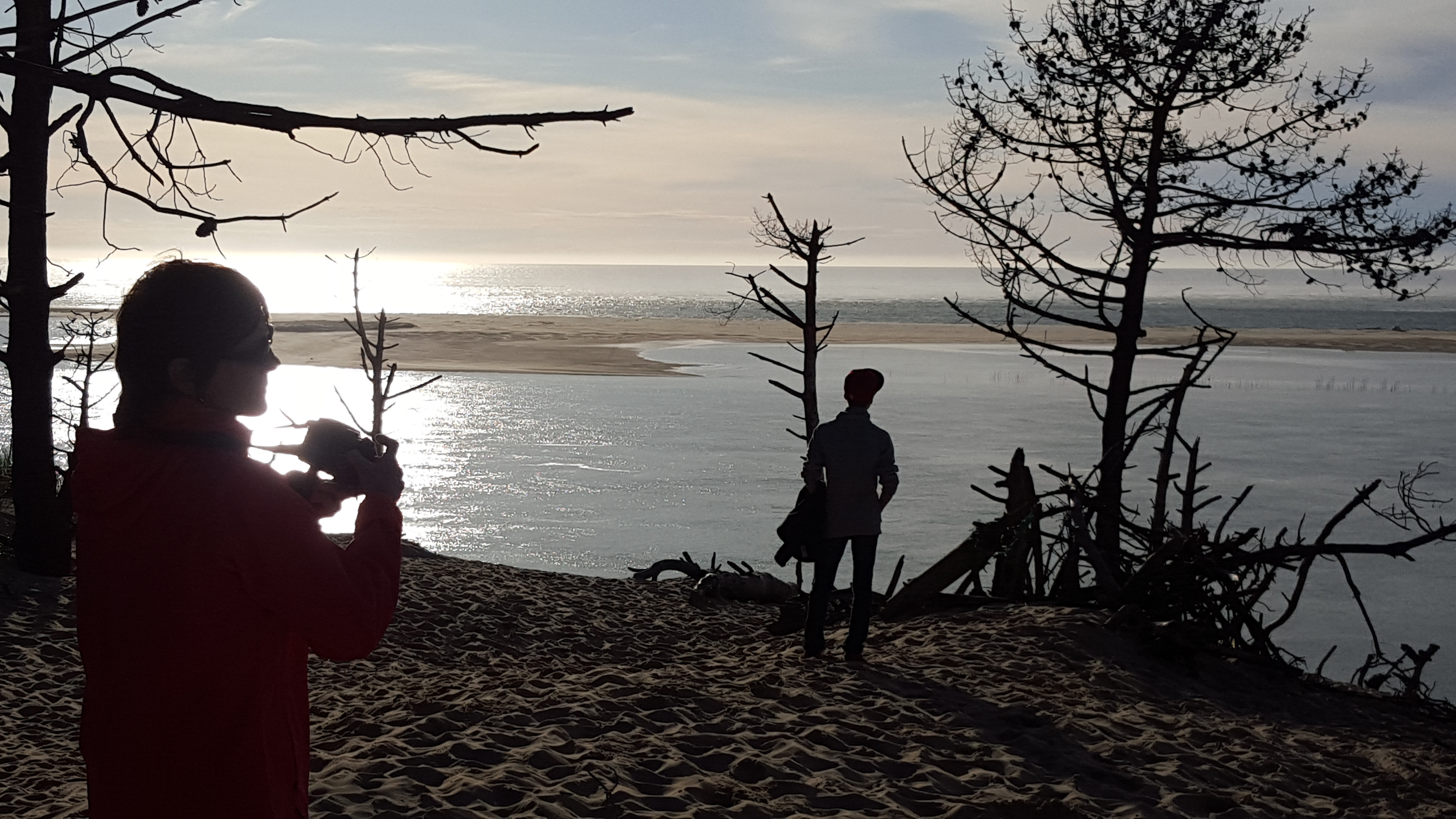 Arcachon - au Coeur des Landes de Gascogne