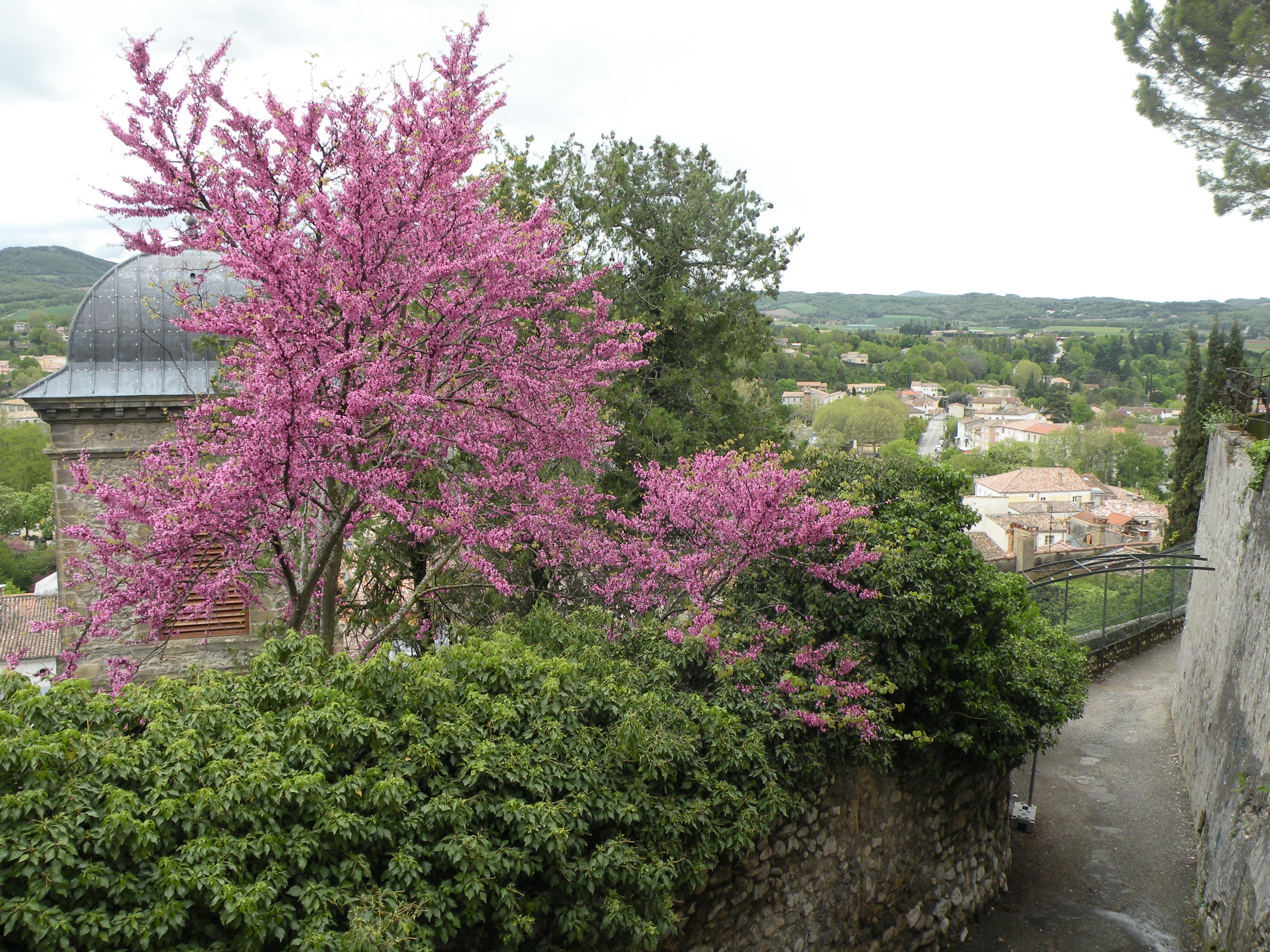 Bien-être en Haute-Loire